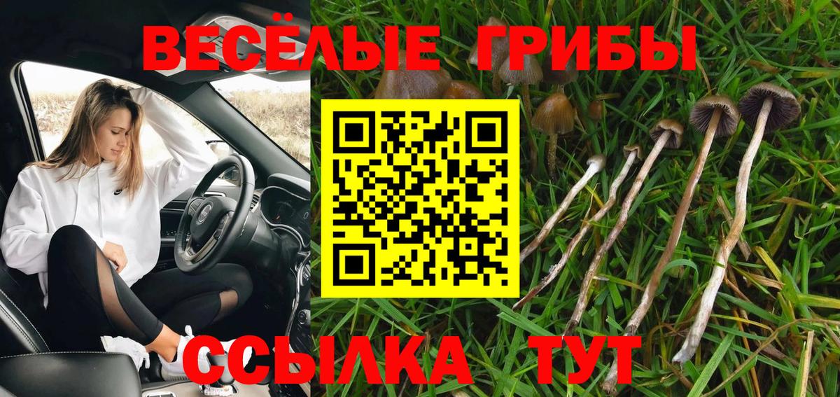 Псилоцибиновые грибы мухоморы  Галлюциногенные грибы Magic Shrooms  Кольчугино  Вход с VPN 