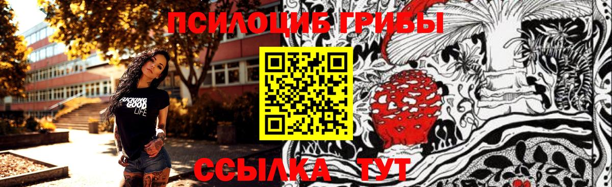 Псилоцибиновые грибы ЛСД Кольчугино